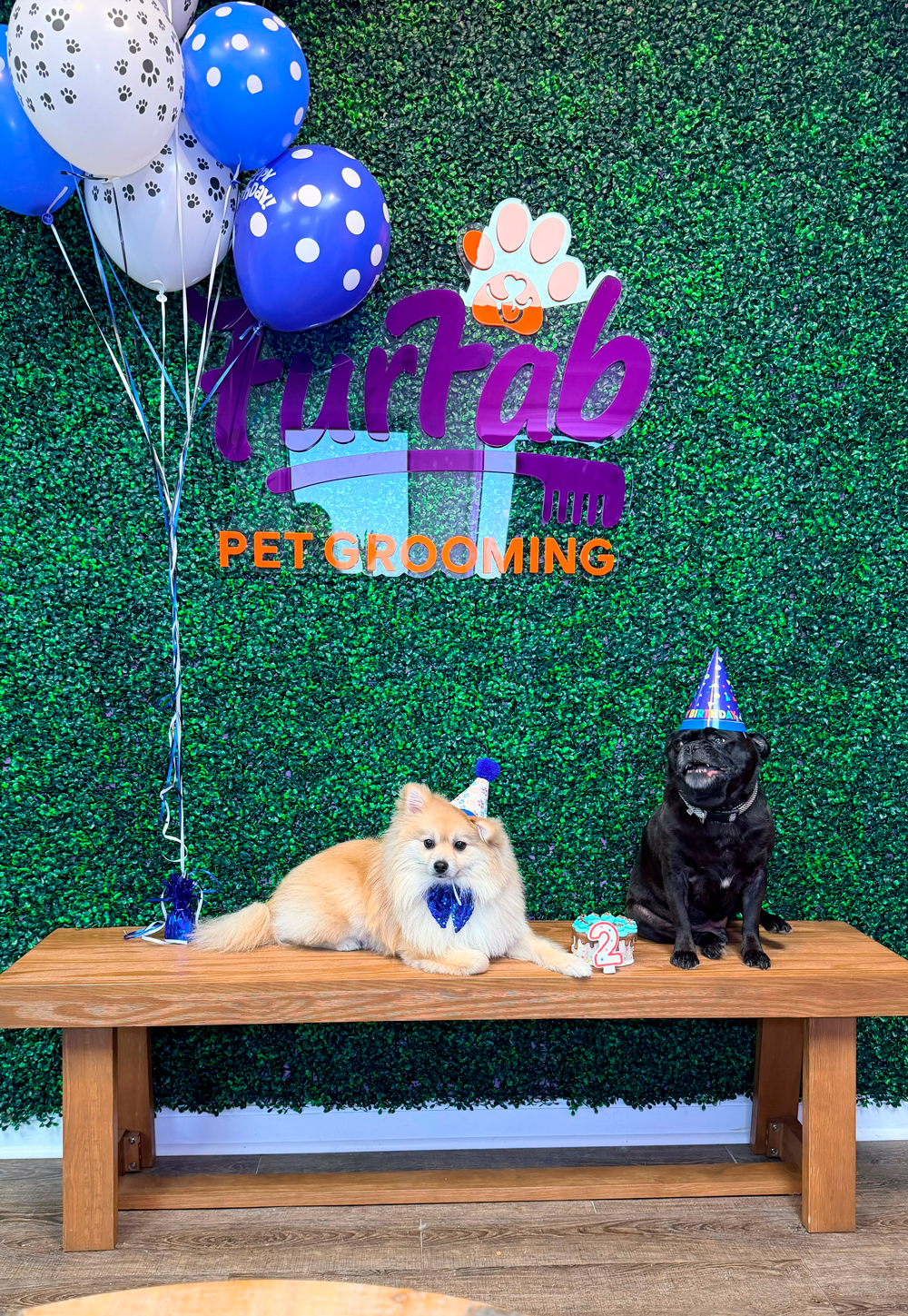 Pet birthday celebration at FurFab Pet Grooming